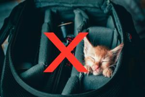 repotnya-mencari-jasa-infal-berpengalaman-di-masa-liburan